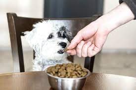 Natürliches Hundefutter: Leckere Rezepte für zufriedene Schnauzen