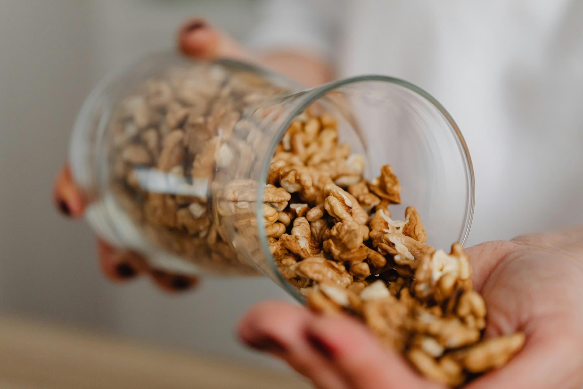 ollie dog food complaints