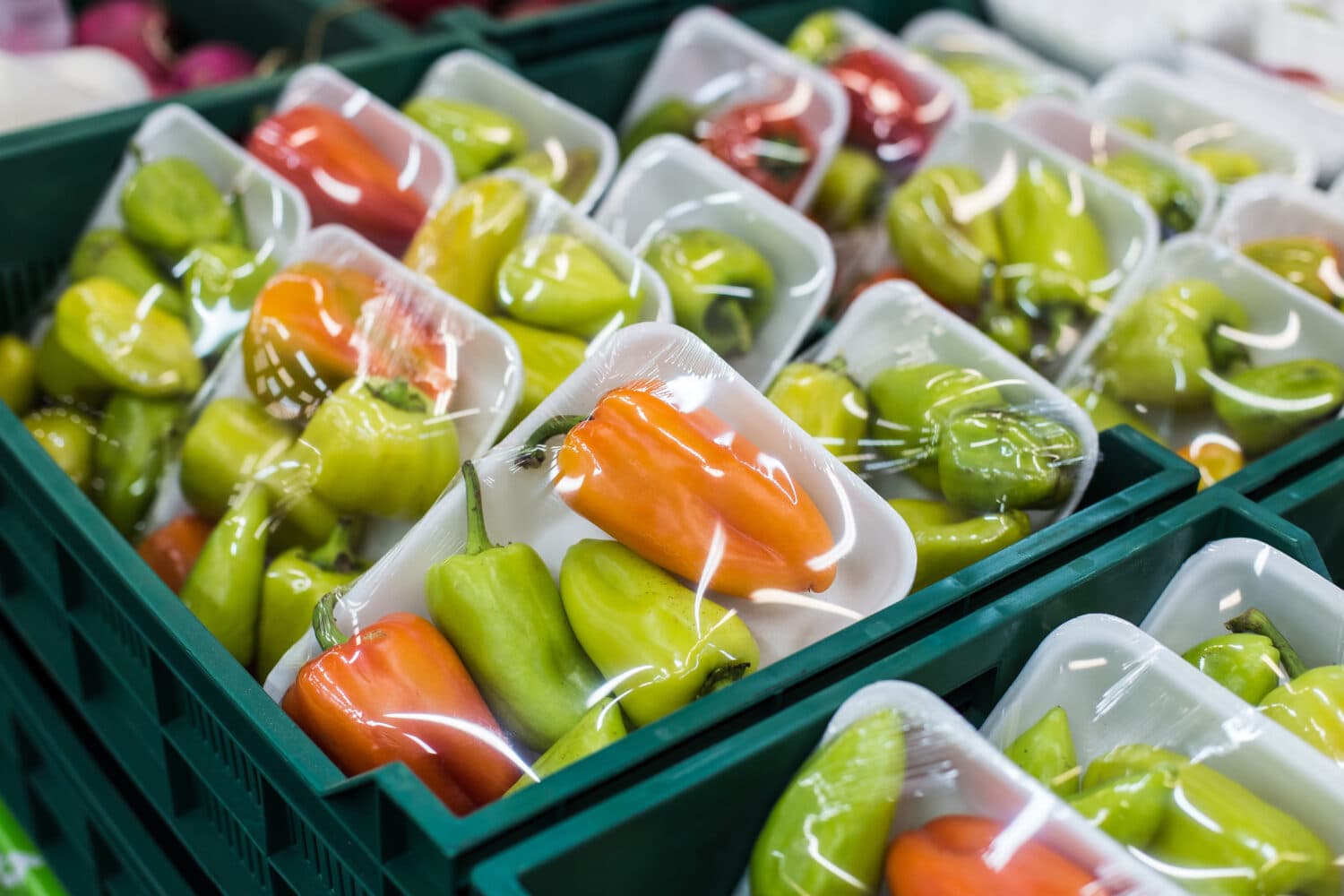 Bio-Verpackungen von Fast-Pack: Nachhaltigkeit für die Zukunft!