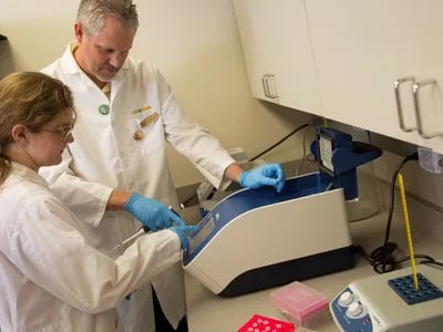 Medizinische Labordiagnostik mit Expertenfakten