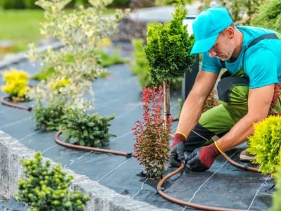 Fachgerecht, schnell und zuverlässig – Top-Adresse für Pflasterarbeiten Braunschweig