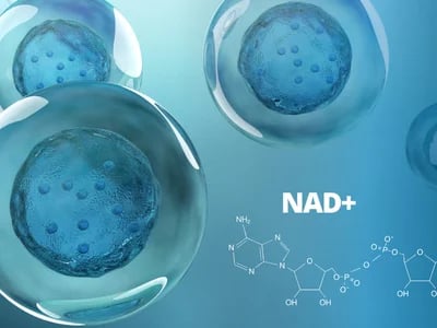 Anti-Aging mit NAD+: Wie dieses Molekül den Alterungsprozess beeinflusst