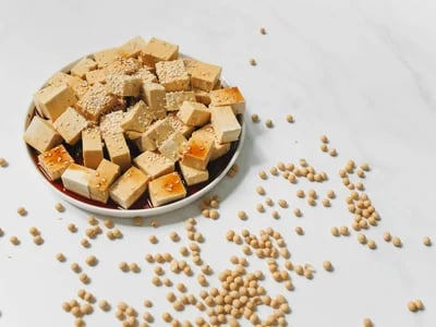 Ollie Dog Food Complaints: What Pet Owners Need to Consider