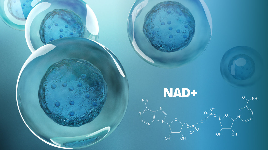 Anti-Aging mit NAD+: Wie dieses Molekül den Alterungsprozess beeinflusst