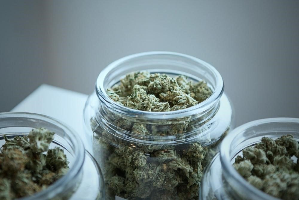 Cali Weed in Deutschland: Entdecke unsere THCA-Produkte