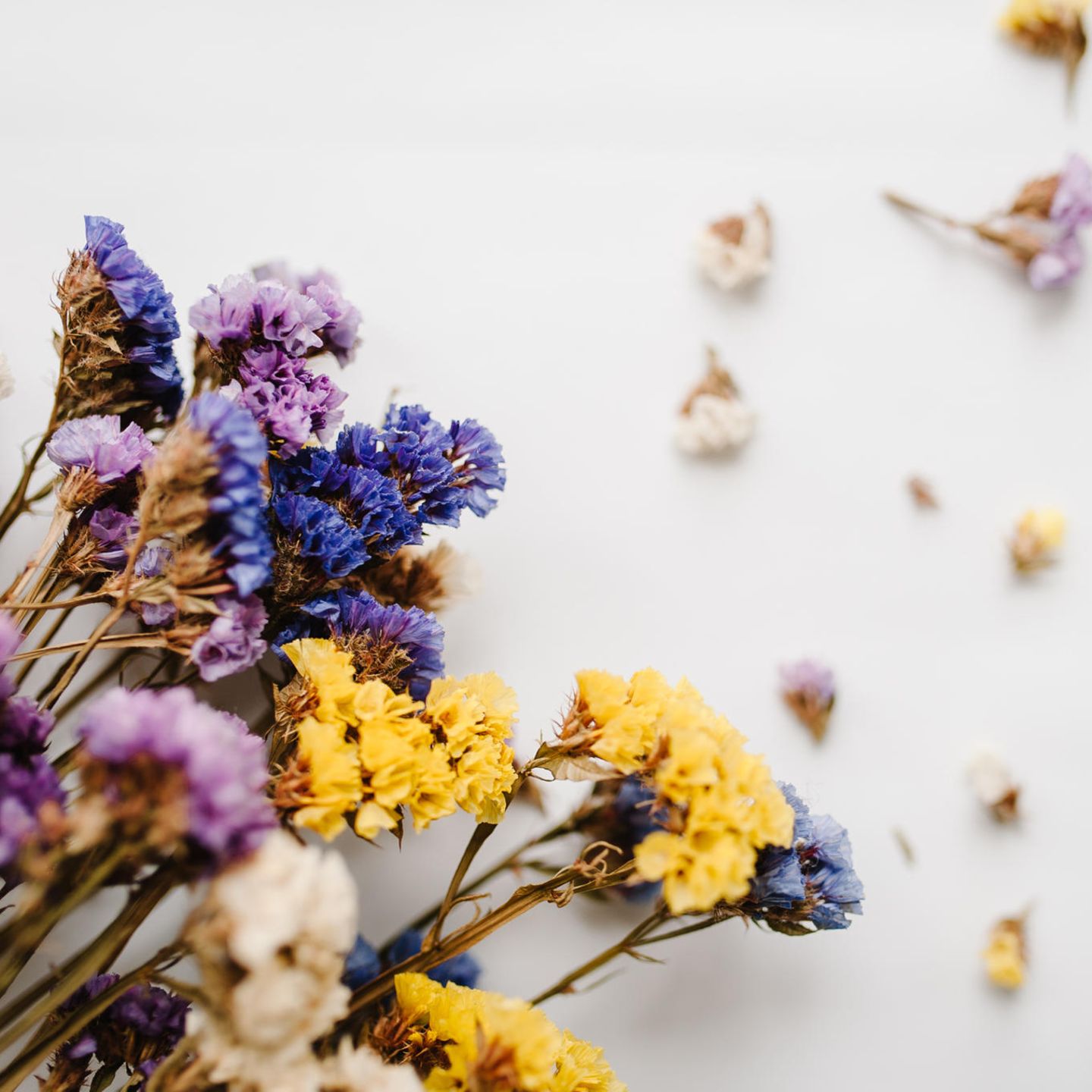 Blumen trocknen leicht gemacht: Tipps für langanhaltende florale Schönheit