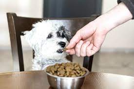 Natürliches Hundefutter: Leckere Rezepte für zufriedene Schnauzen
