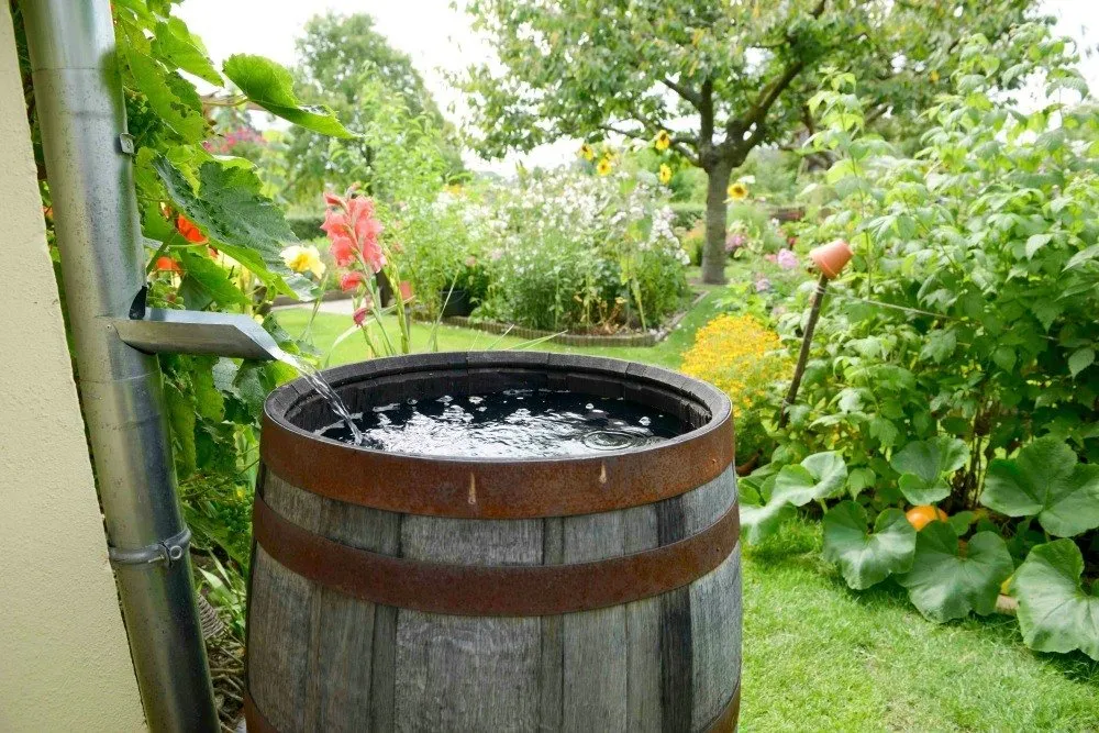 All4Water: Ihr Partner für nachhaltige Regenwassernutzung